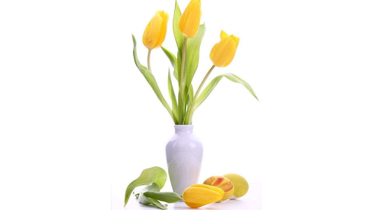 Обои цветы, букет, тюльпаны, белый фон, ваза, пасха, яйца, крашенки, flowers, bouquet, tulips, white background, vase, easter, eggs разрешение 2560x1600 Загрузить