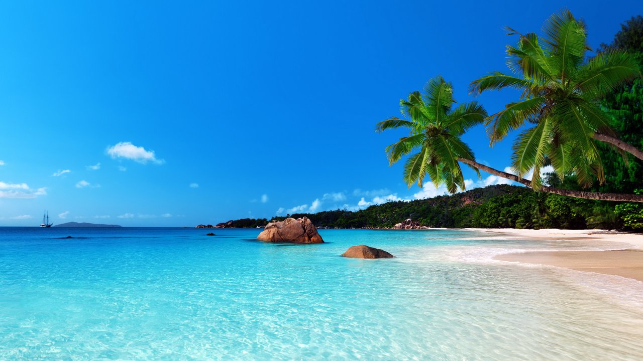 Обои море, пляж, тропики, 1, sea, beach, tropics разрешение 5156x2900 Загрузить