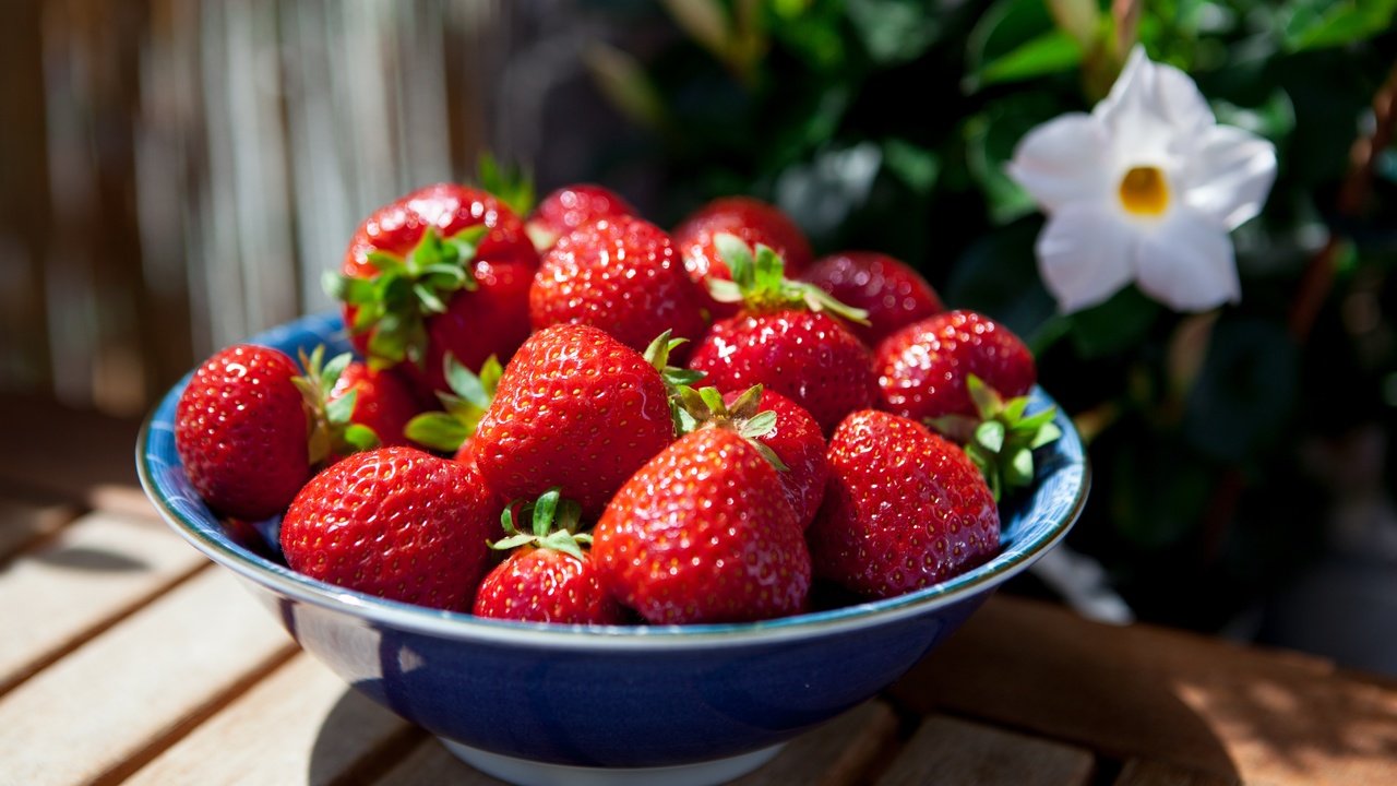 Обои цветы, лето, клубника, ягоды, миска, деревянная поверхность, flowers, summer, strawberry, berries, bowl, wooden surface разрешение 5452x3635 Загрузить