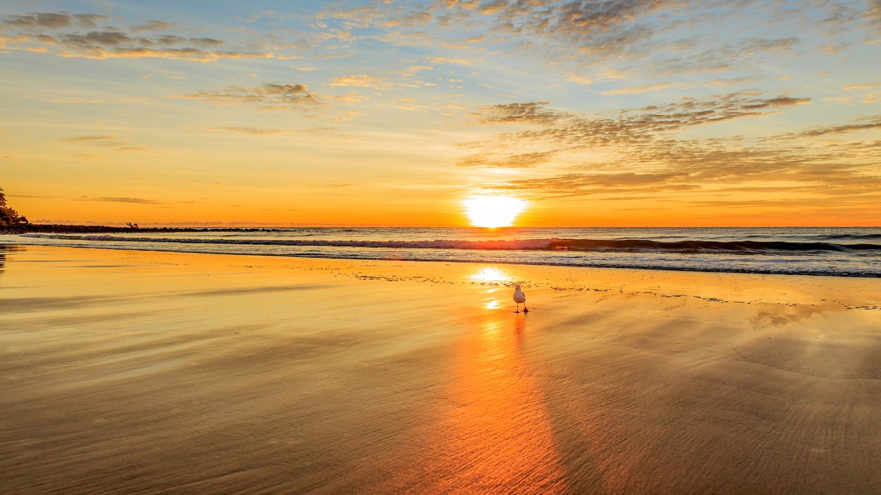 Обои закат, море, пляж, чайка, 14, sunset, sea, beach, seagull разрешение 5426x3593 Загрузить