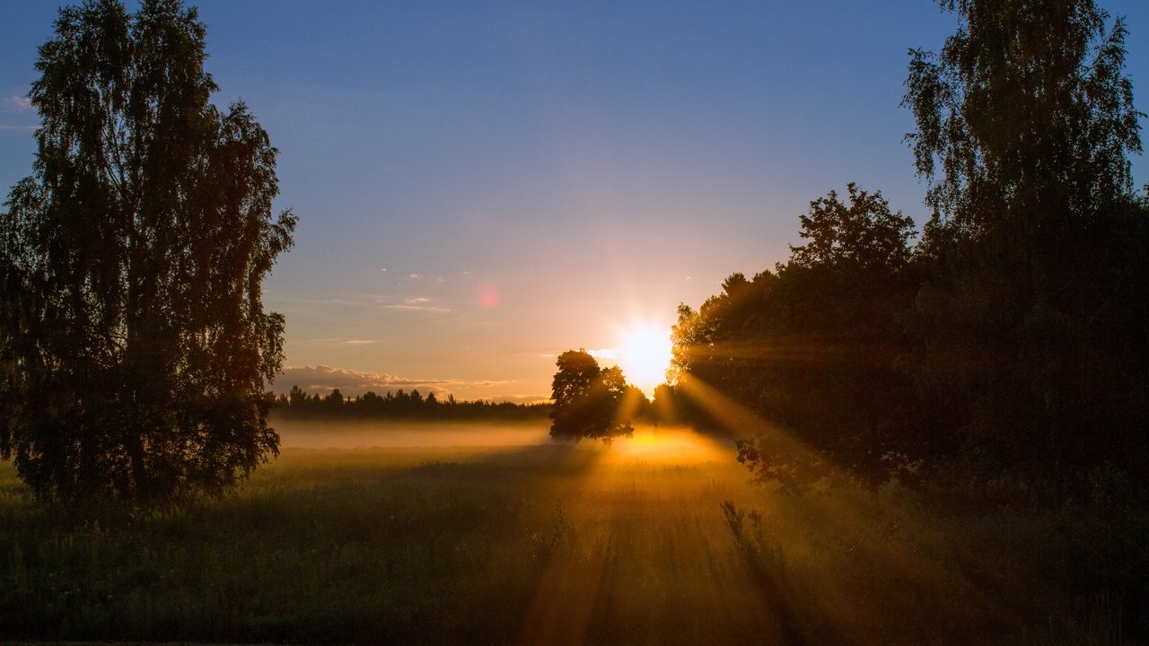 Обои небо, деревья, солнце, закат, лучи, пейзаж, солнечный свет, the sky, trees, the sun, sunset, rays, landscape, sunlight разрешение 5184x3456 Загрузить