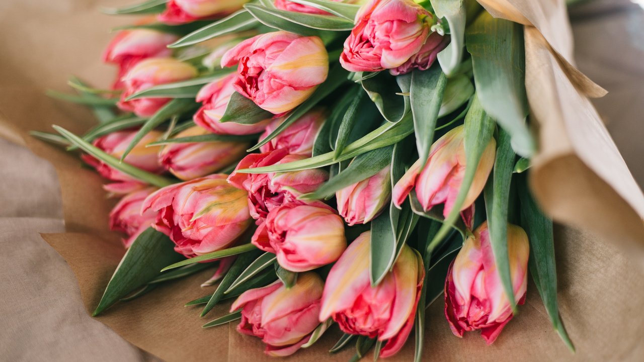 Обои цветы, бутоны, лепестки, букет, тюльпаны, розовые, flowers, buds, petals, bouquet, tulips, pink разрешение 4104x2736 Загрузить