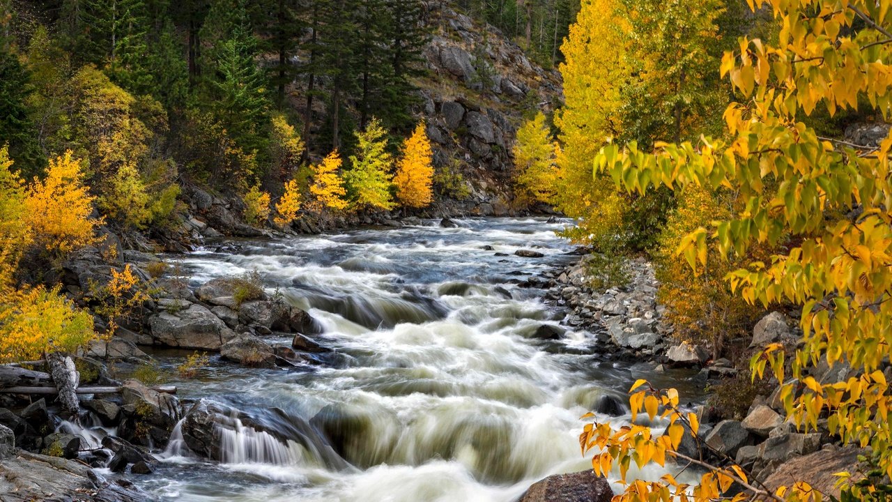 Обои деревья, река, осень, штат вашингтон, trees, river, autumn, washington разрешение 3000x2000 Загрузить