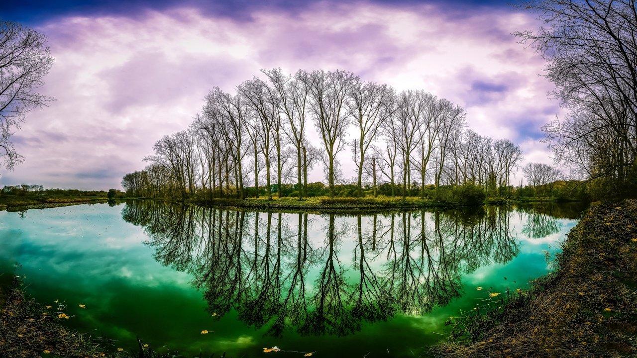 Обои деревья, вода, река, природа, осень, trees, water, river, nature, autumn разрешение 3840x2160 Загрузить