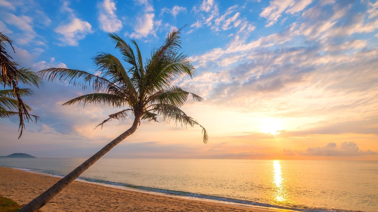 Обои закат, пляж, пальма, sunset, beach, palma разрешение 6000x4000 Загрузить