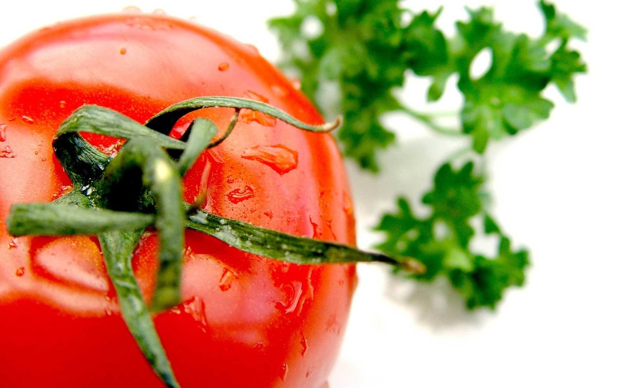 Обои зелень, овощи, помидор, томат, greens, vegetables, tomato разрешение 1920x1200 Загрузить