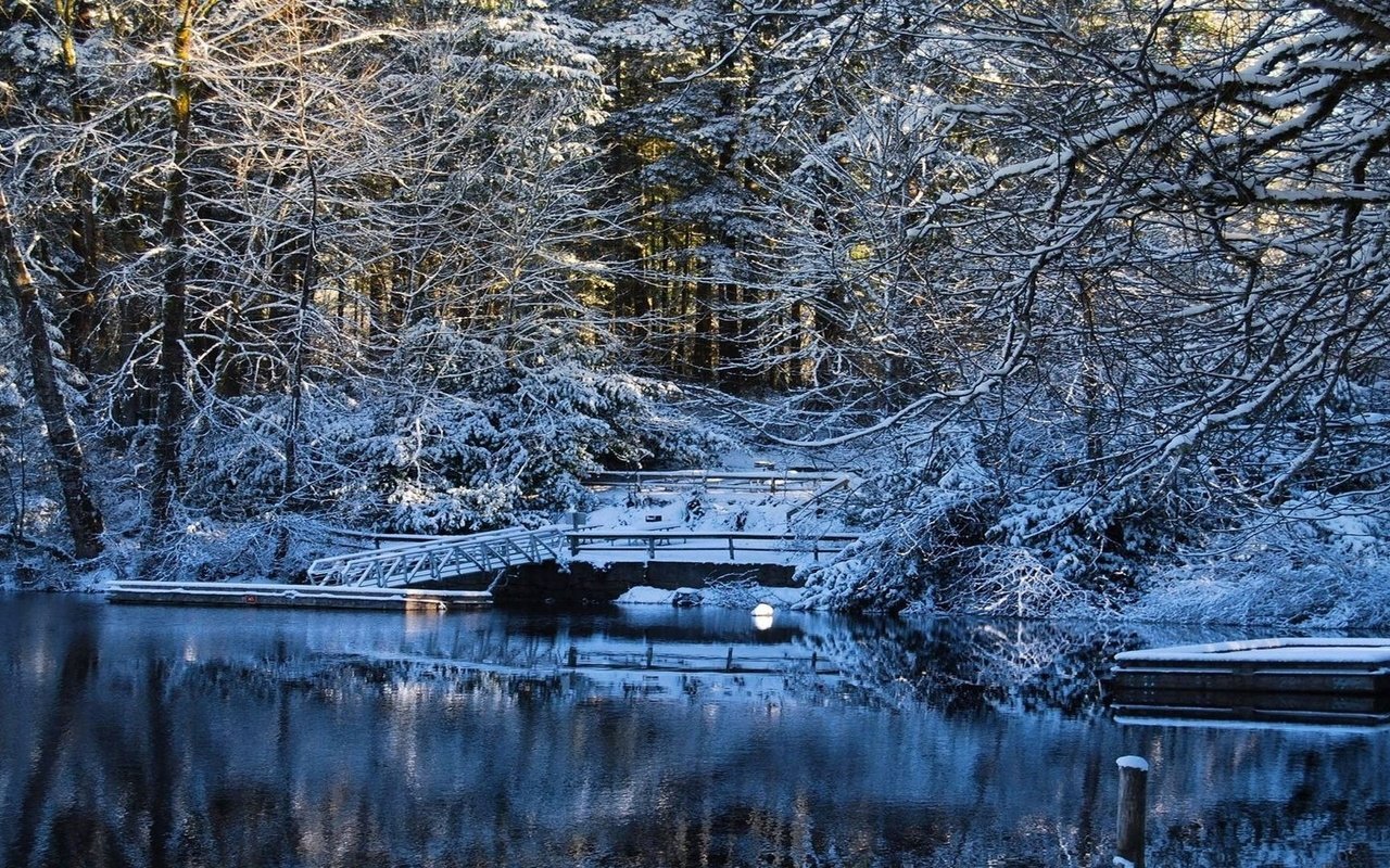 Обои деревья, вода, озеро, снег, зима, мост, trees, water, lake, snow, winter, bridge разрешение 1920x1080 Загрузить