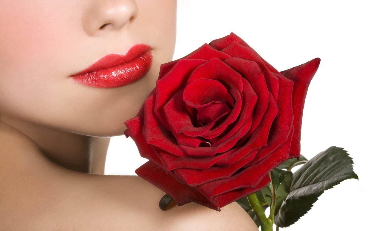Обои бархатная, девушка, цветок, роза, красная, модель, губы, лицо, красная помада, velvet, girl, flower, rose, red, model, lips, face, red lipstick разрешение 1920x1200 Загрузить
