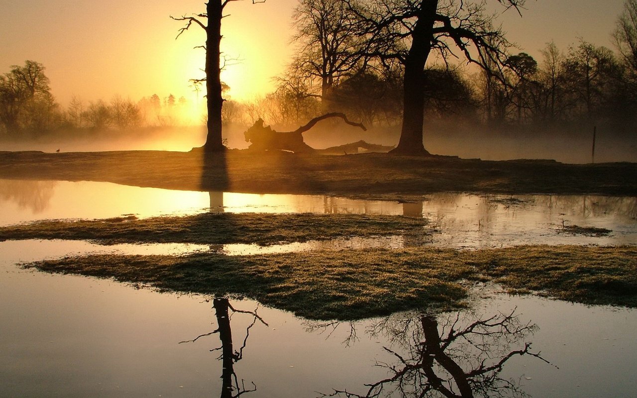 Обои деревья, болото, закат, отражение, пейзаж, осень, trees, swamp, sunset, reflection, landscape, autumn разрешение 1920x1080 Загрузить