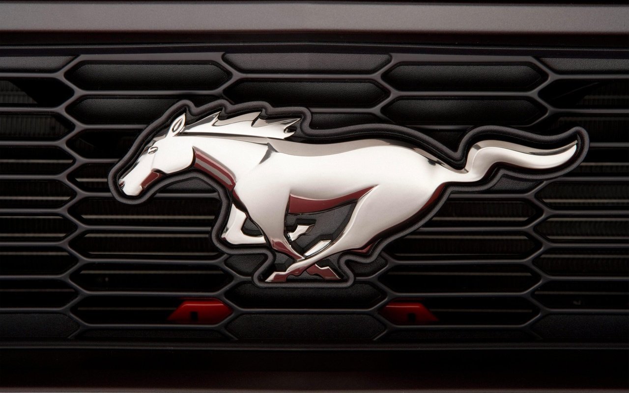 Обои мустанг, logotip, mustang разрешение 3951x2634 Загрузить