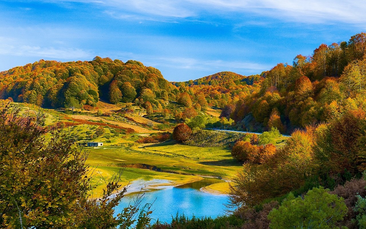 Обои красивый осенний лес на холмах, beautiful autumn forest in the hills разрешение 2560x1440 Загрузить