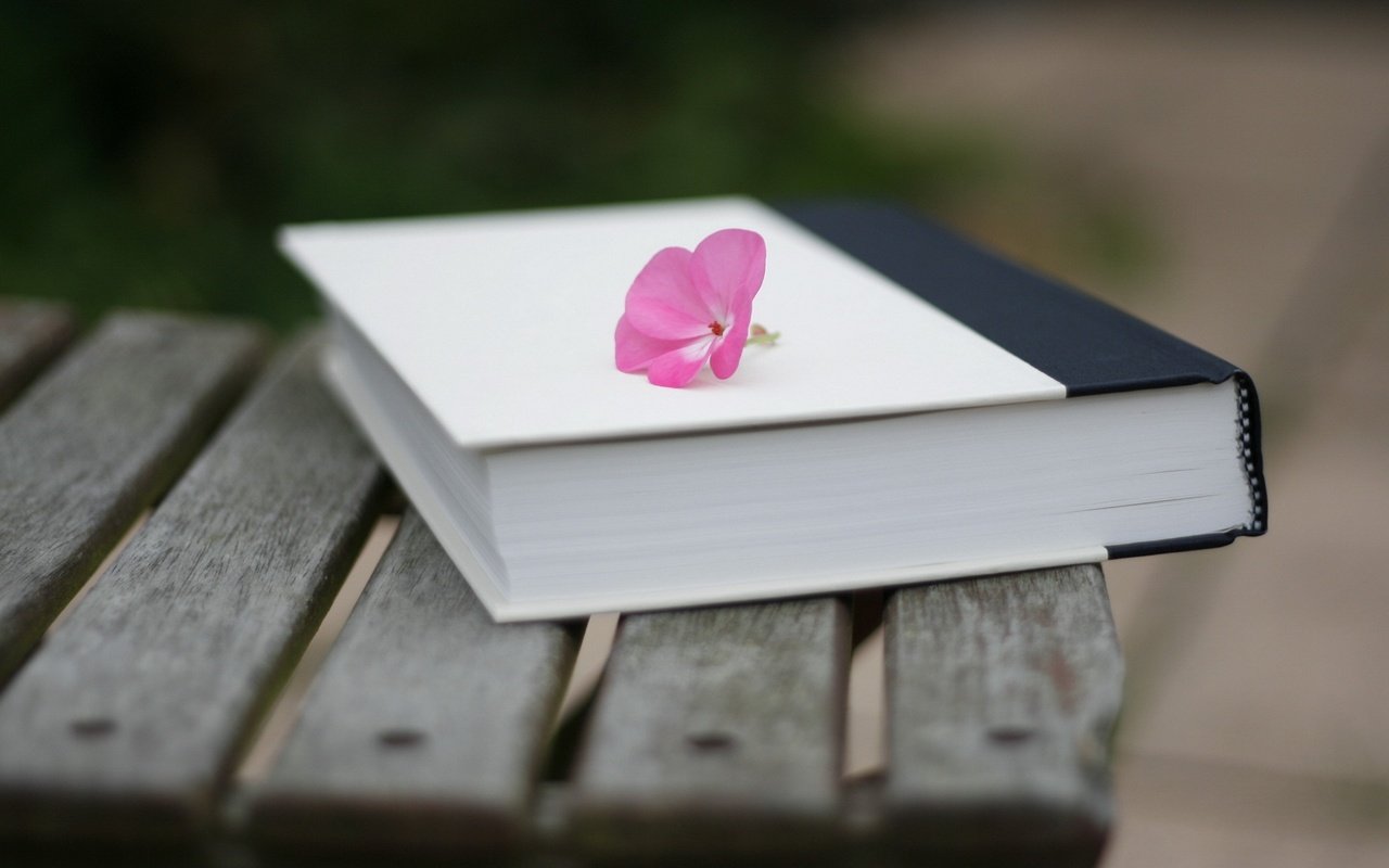 Обои настроение, цветок, скамейка, книга, поверхность, mood, flower, bench, book, surface разрешение 1920x1200 Загрузить