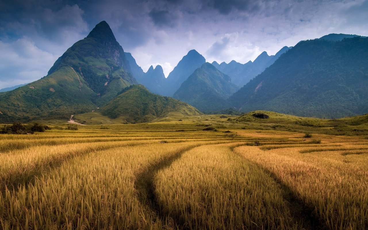 Обои горы, поле, гора, вьетнам, провинция лаокай, фаншипан, mountains, field, mountain, vietnam, province lao cai, fansipan разрешение 2048x1152 Загрузить