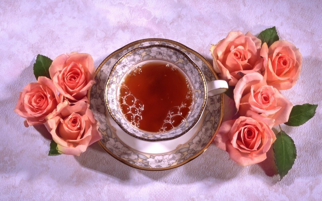 Обои цветы, розы, блюдце, чашка, чай, натюрморт, flowers, roses, saucer, cup, tea, still life разрешение 1920x1339 Загрузить