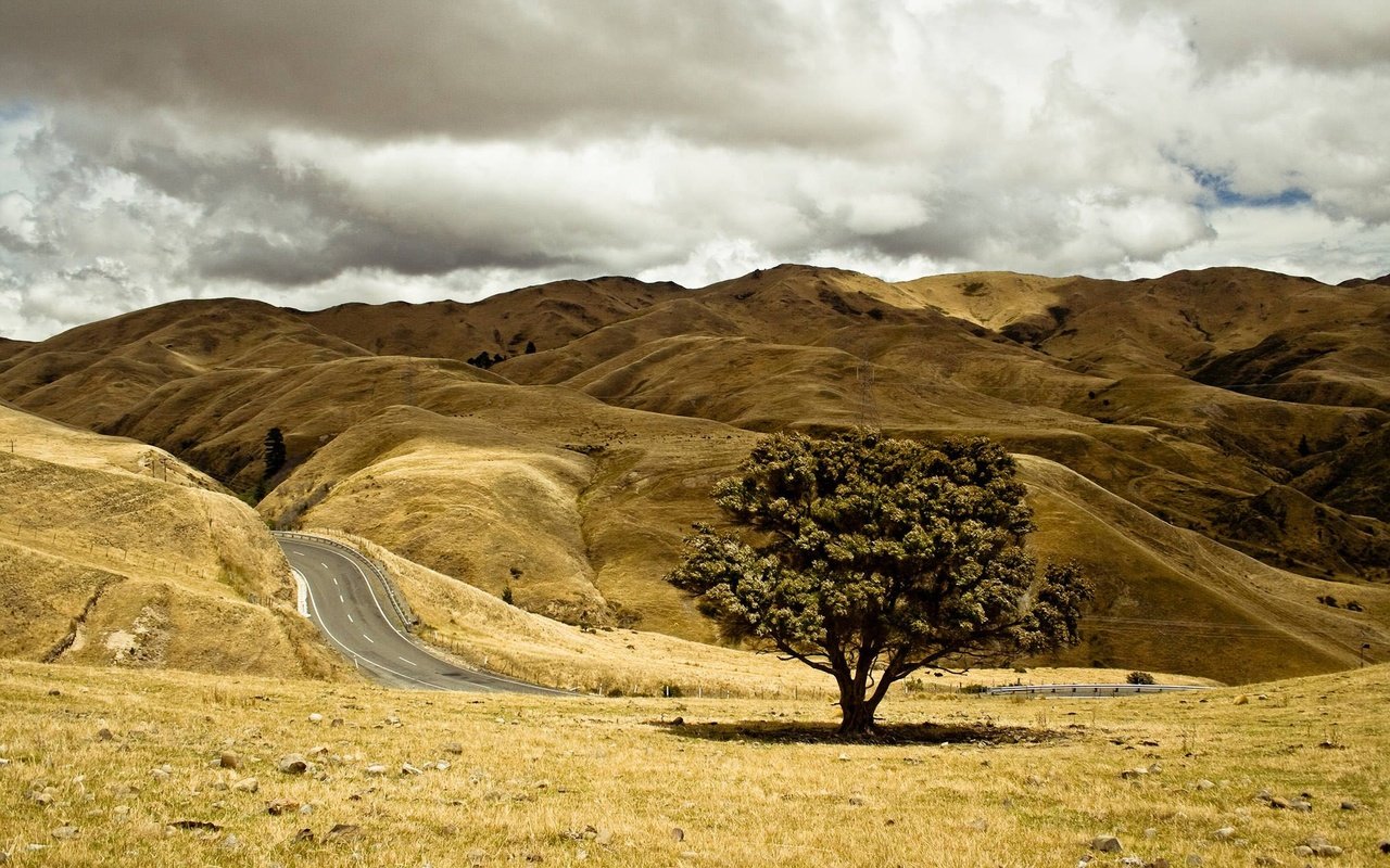 Обои небо, дорога, холмы, дерево, пейзаж, осень, the sky, road, hills, tree, landscape, autumn разрешение 2880x1800 Загрузить