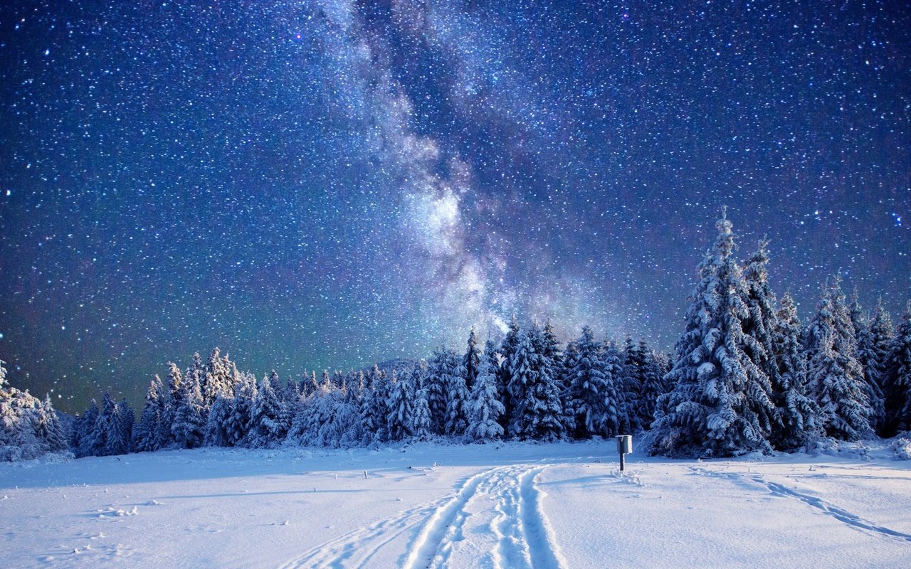 Обои небо, деревья, лес, зима, звезды, млечный путь, the sky, trees, forest, winter, stars, the milky way разрешение 1920x1080 Загрузить