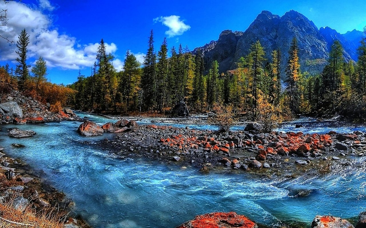 Обои деревья, stream mountain, fresh water, вода, rapids, река, горы, природа, камни, поток, бег, trees, water, river, mountains, nature, stones, stream, running разрешение 1920x1200 Загрузить