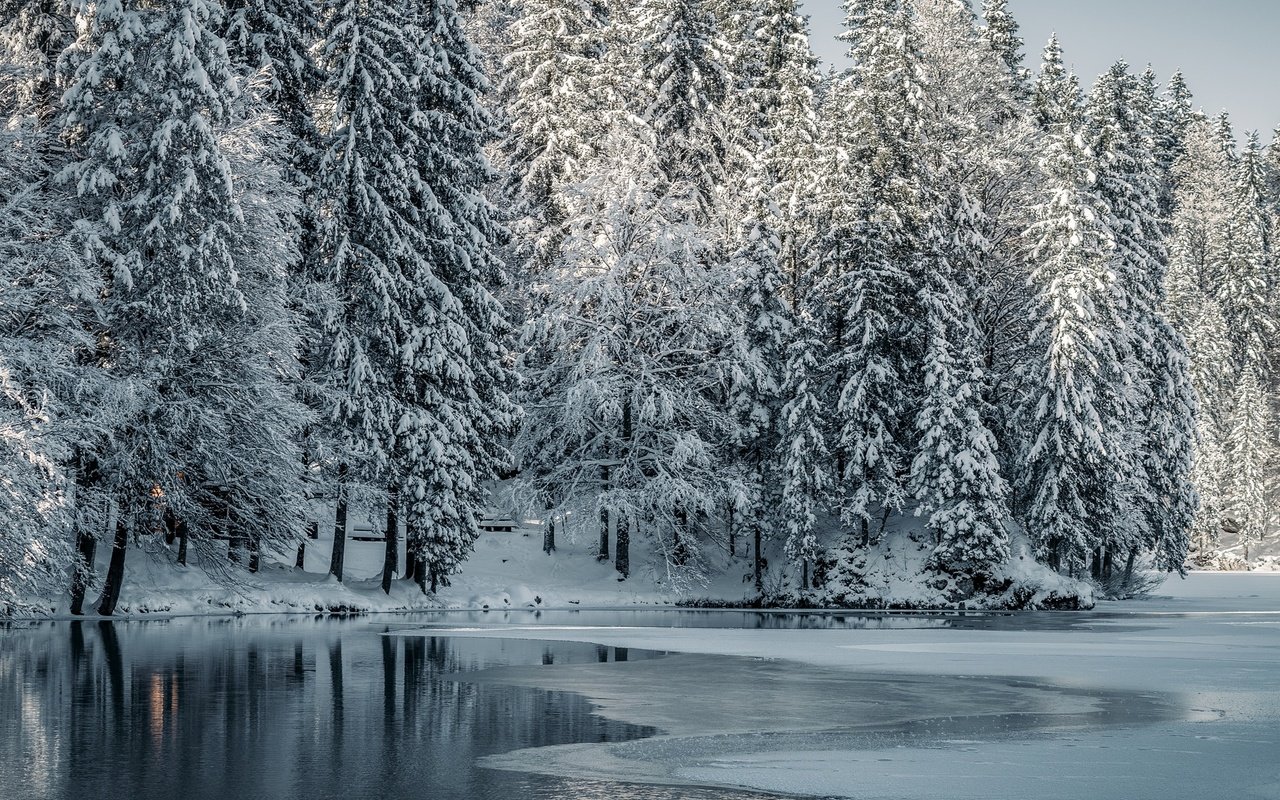 Обои деревья, озеро, снег, лес, зима, trees, lake, snow, forest, winter разрешение 2048x1136 Загрузить
