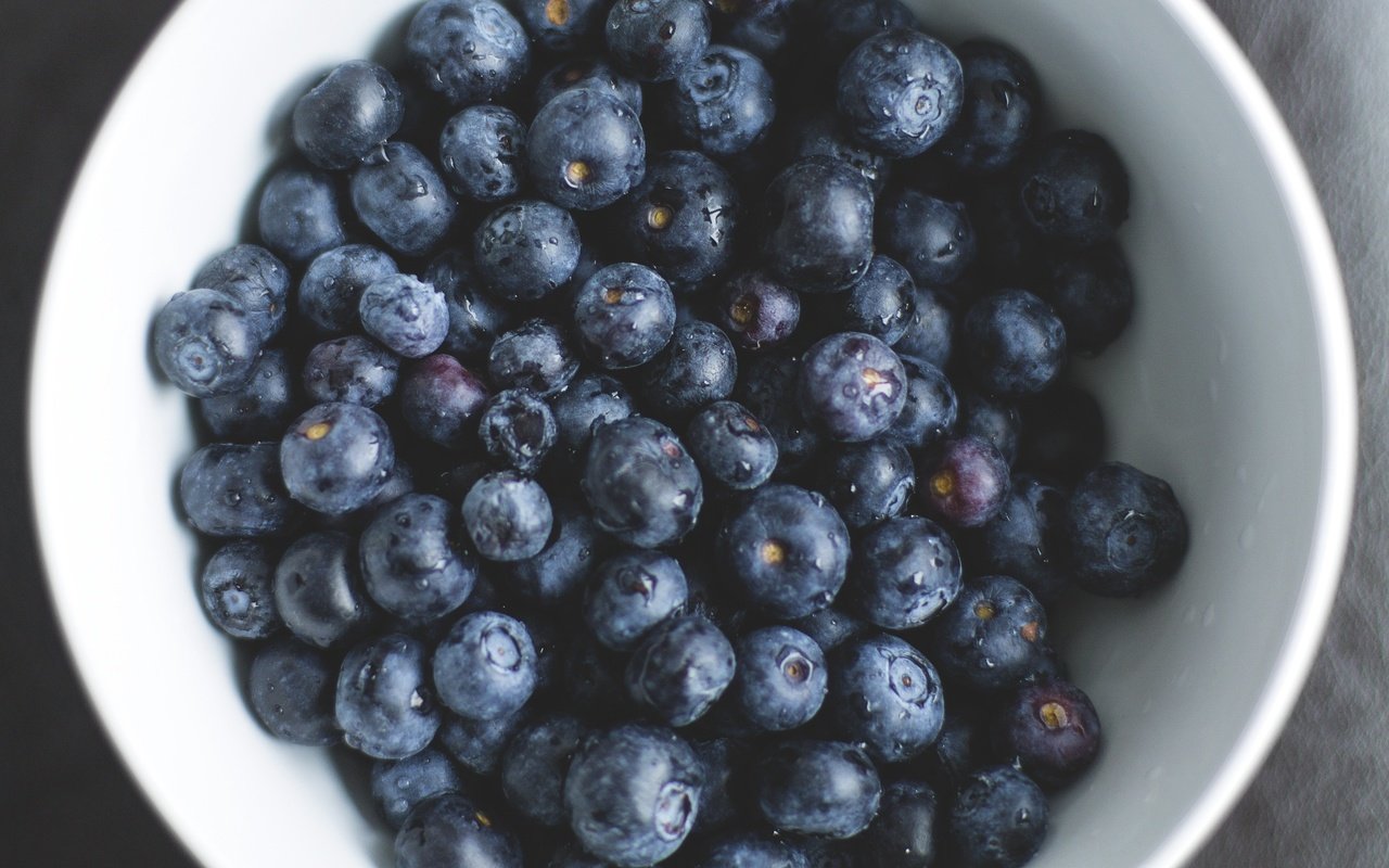 Обои ягоды, черника, тарелка, крупным планом, berries, blueberries, plate, closeup разрешение 3742x2495 Загрузить