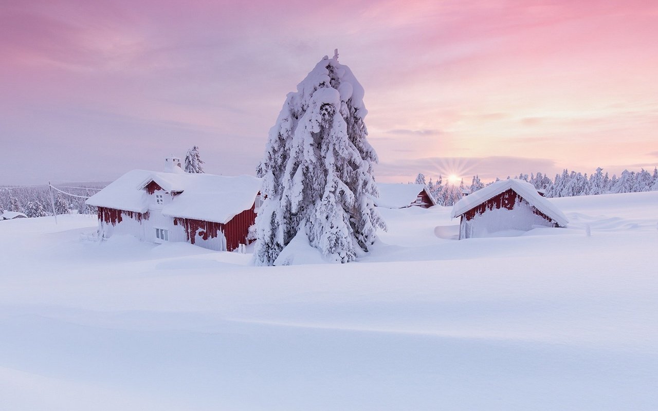 Обои снег, дерево, пейзаж, утро, дома, сугробы, snow, tree, landscape, morning, home, the snow разрешение 1920x1080 Загрузить