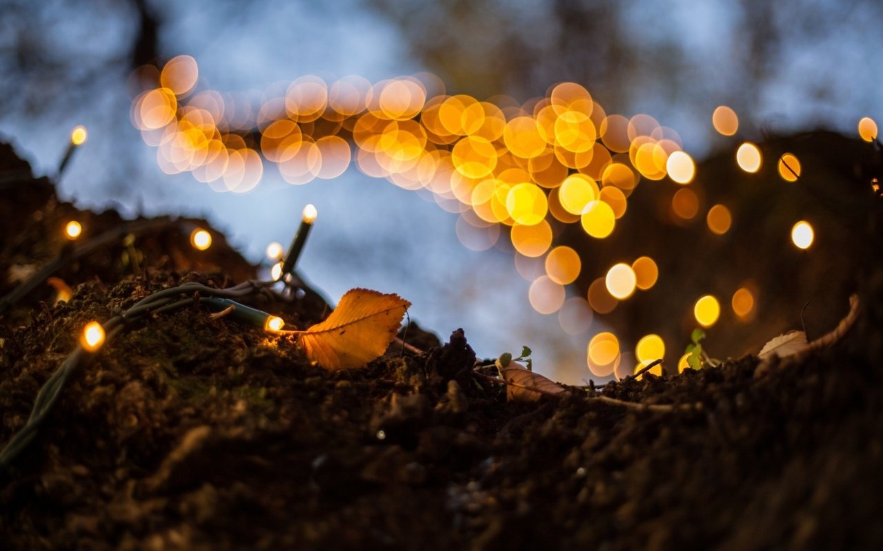 Обои дерево, макро, огоньки, гирлянда, боке, tree, macro, lights, garland, bokeh разрешение 1920x1200 Загрузить