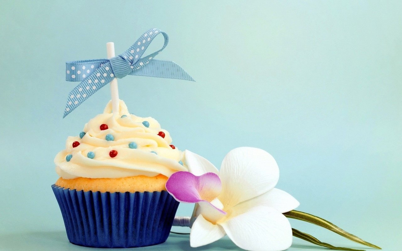 Обои бант, кулич, кекс, цветком, день рождение, bow, cake, cupcake, flower, birthday разрешение 1920x1080 Загрузить