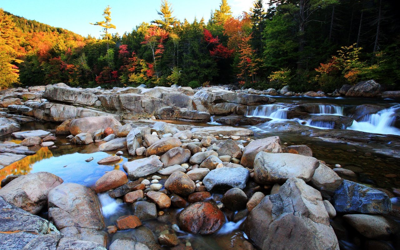 Обои деревья, река, камни, лес, осень, поток, булыжники, trees, river, stones, forest, autumn, stream разрешение 4997x3339 Загрузить