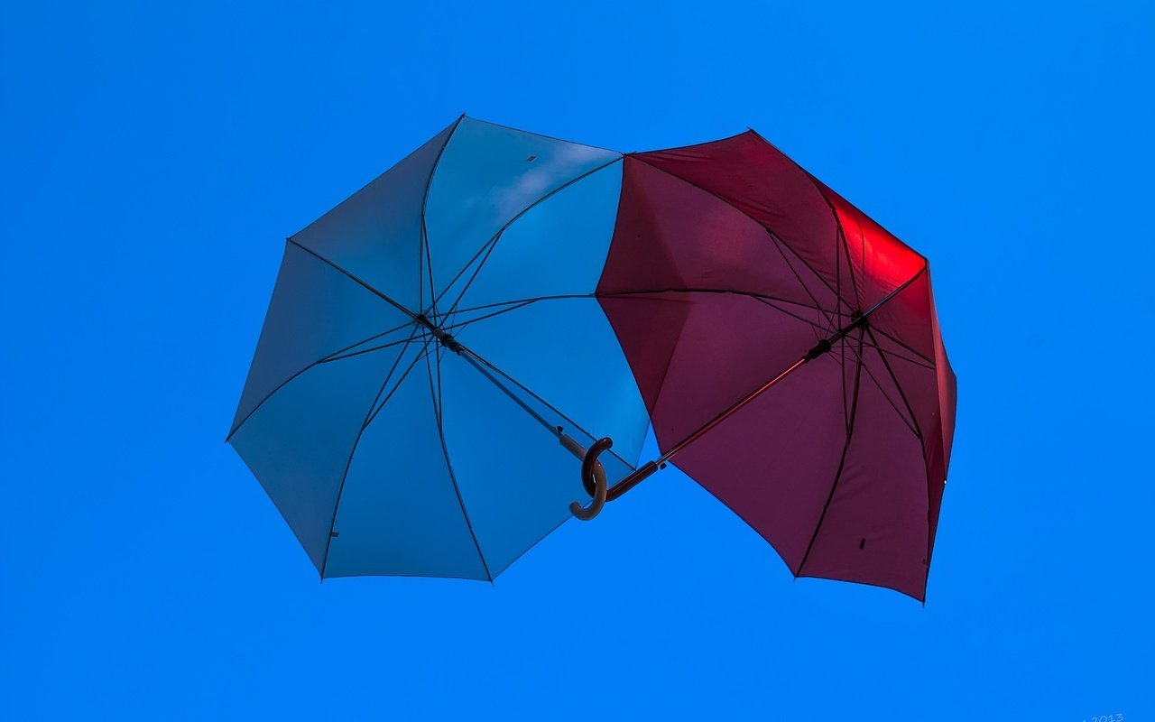 Обои зонт, голубая, краcный, неба, clear sky, влюбленная, ширма, umbrella, blue, red, sky, love, screen разрешение 5669x3769 Загрузить