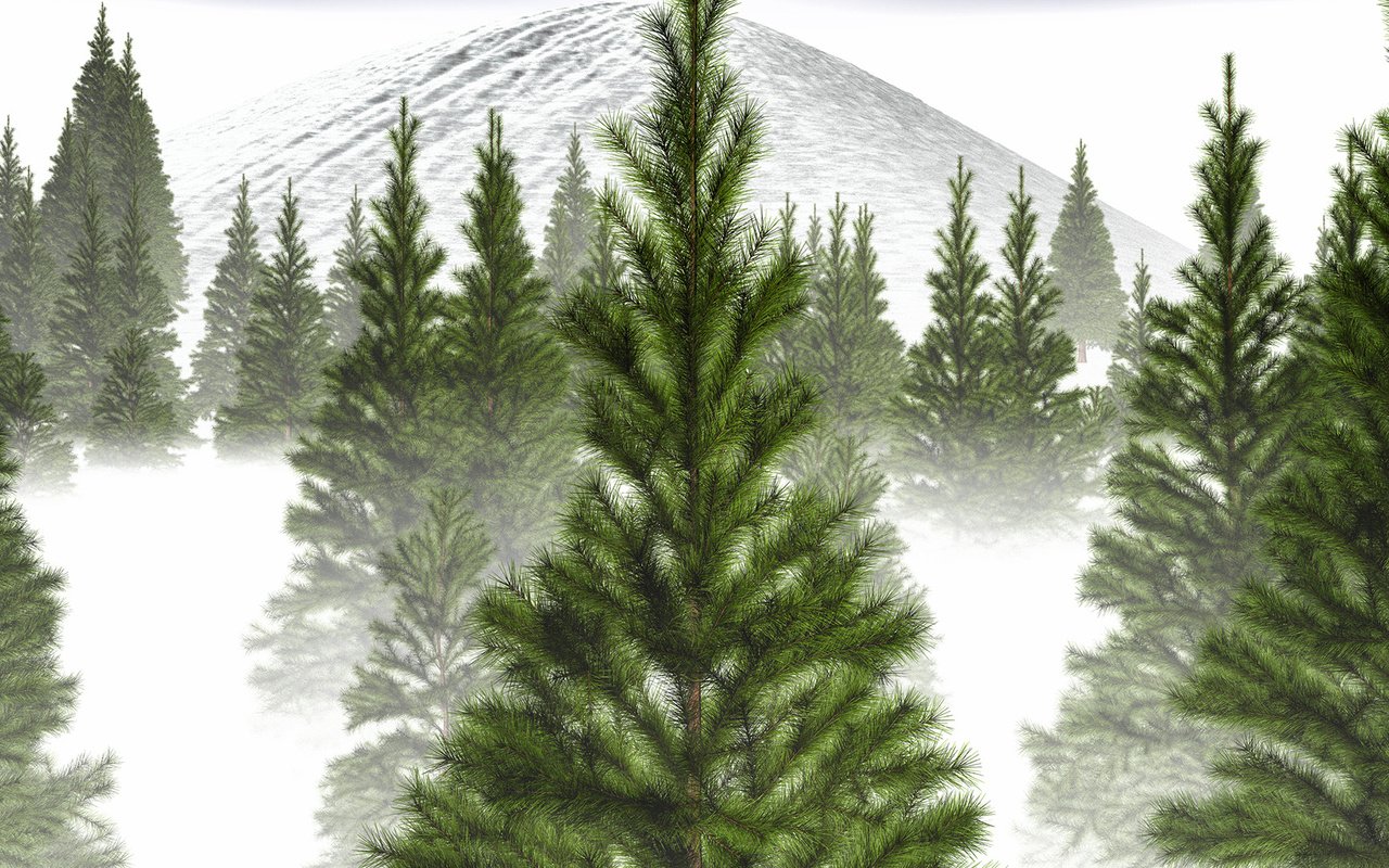 Обои деревья, снег, зима, туман, ветви, гора, ель, trees, snow, winter, fog, branch, mountain, spruce разрешение 1920x1080 Загрузить