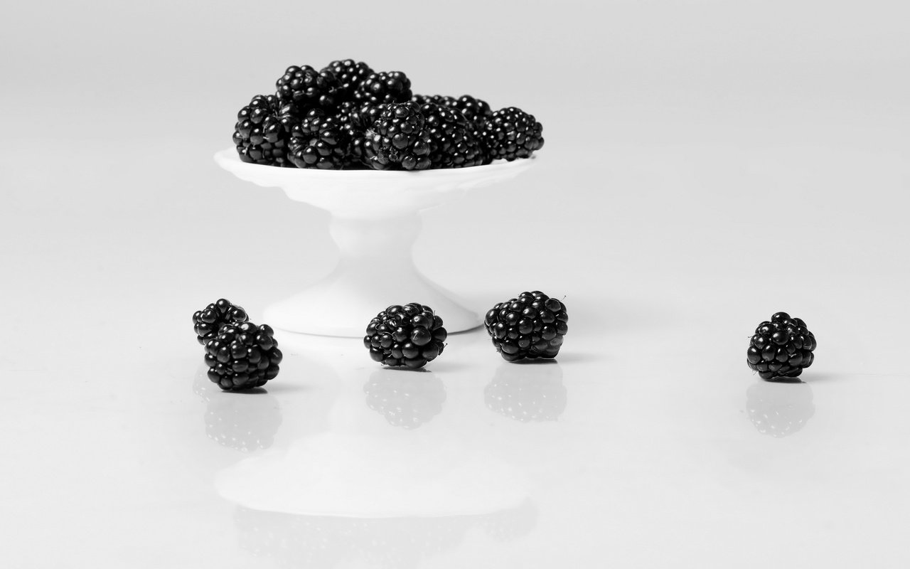 Обои фон, еда, ягоды, белый фон, ежевика, background, food, berries, white background, blackberry разрешение 2560x1709 Загрузить