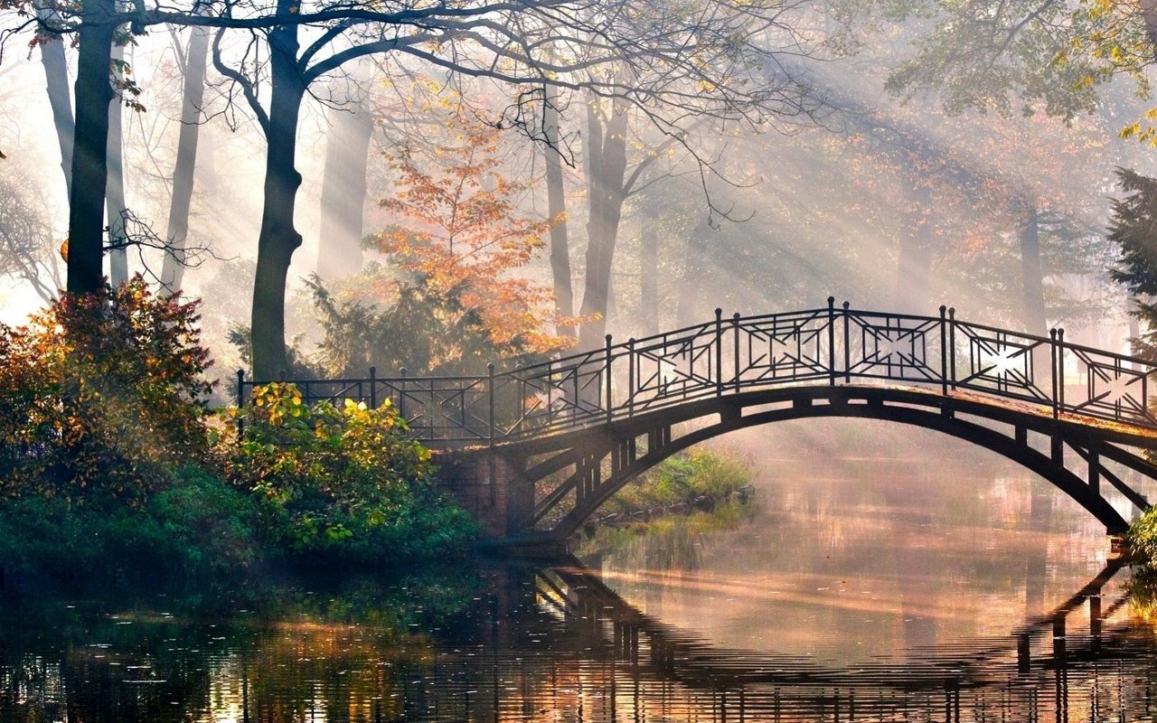 Обои деревья, река, листья, парк, мост, осень, рирода, trees, river, leaves, park, bridge, autumn разрешение 1920x1080 Загрузить