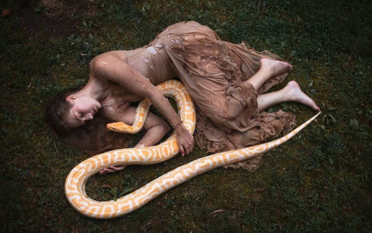 Обои девушка, платье, модель, змея, рептилия, закрытые глаза, aleah michele, girl, dress, model, snake, reptile, closed eyes разрешение 2048x1365 Загрузить