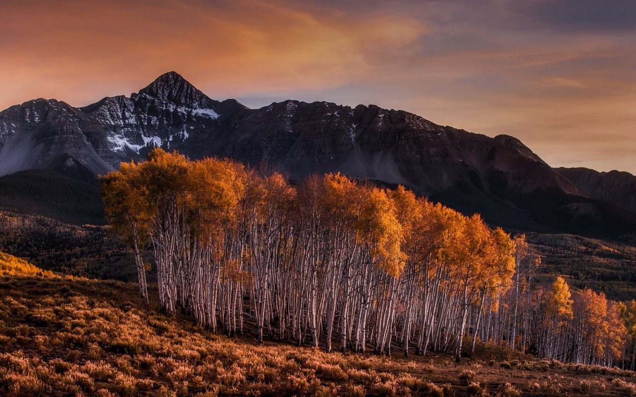 Обои горы, березы, осень, mountains, birch, autumn разрешение 3840x2160 Загрузить