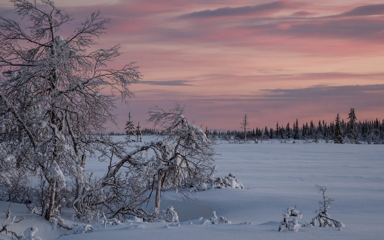 Обои снег, закат, зима, snow, sunset, winter разрешение 3840x2160 Загрузить