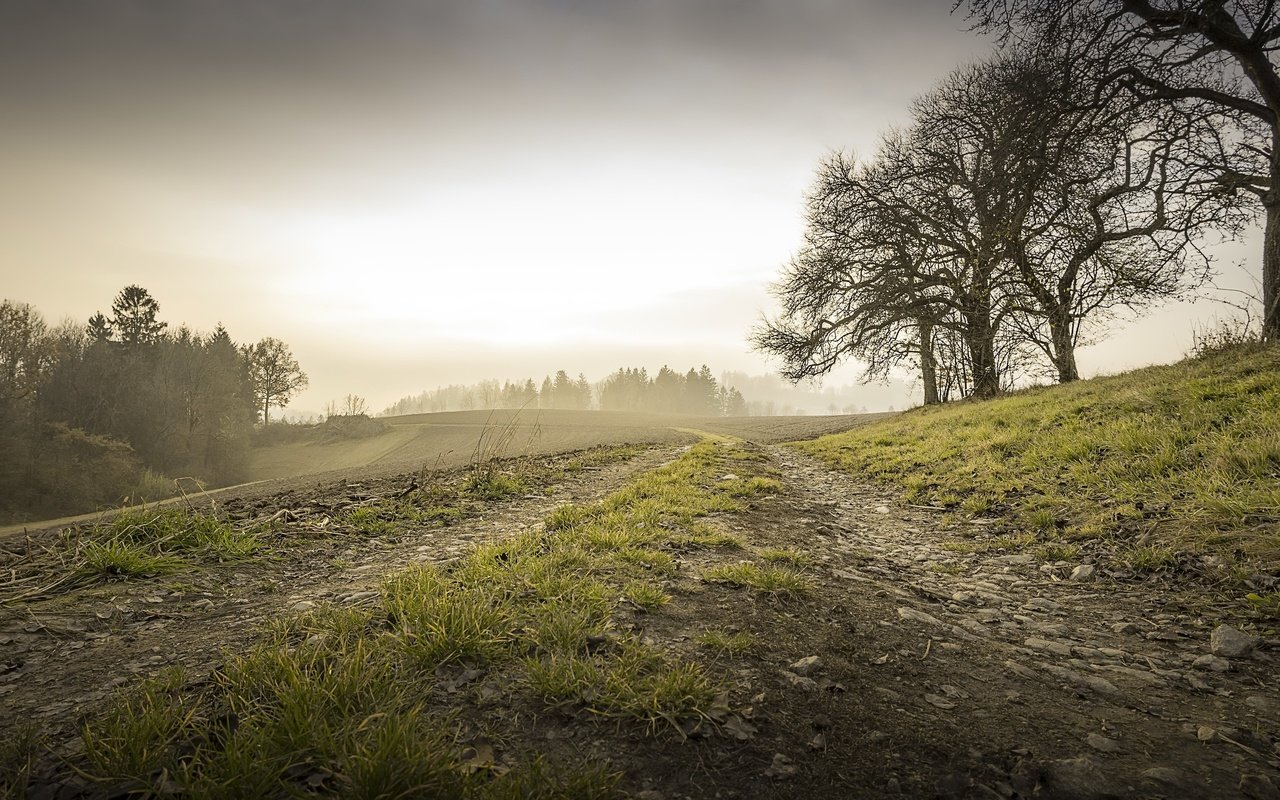 Обои утро, туман, осень, morning, fog, autumn разрешение 3052x1705 Загрузить