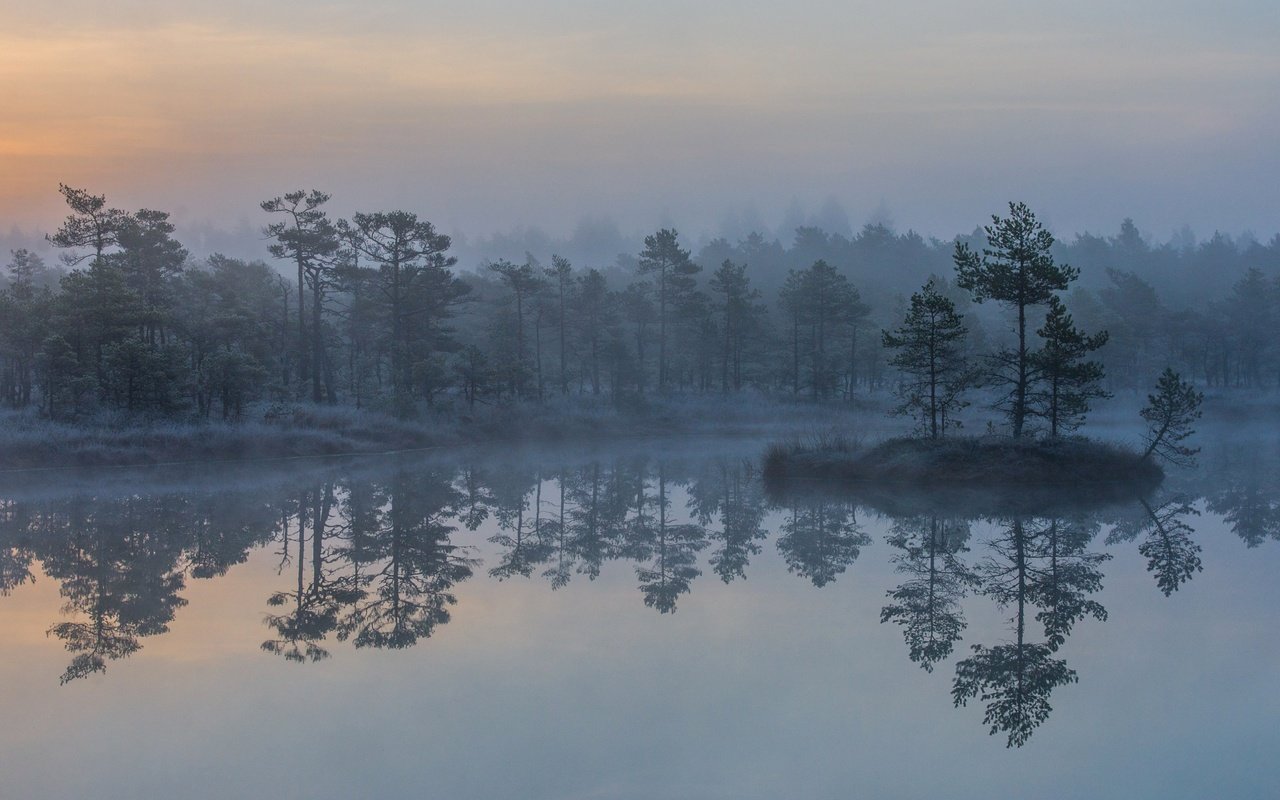 Обои деревья, озеро, скала, туман, островок, trees, lake, rock, fog, island разрешение 2880x1800 Загрузить