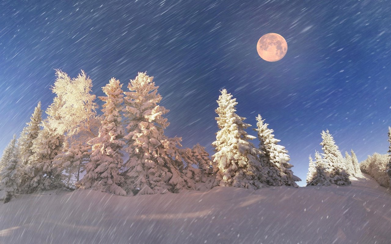 Обои небо, ели, свет, сумерки, ночь, сугробы, метель, снег, в снегу, природа, полнолуние, лес, лунный свет, зима, снегопад, луна, the sky, ate, light, twilight, the snow, night, blizzard, snow, in the snow, nature, the full moon, forest, moonlight, winter, snowfall, the moon разрешение 3840x2160 Загрузить