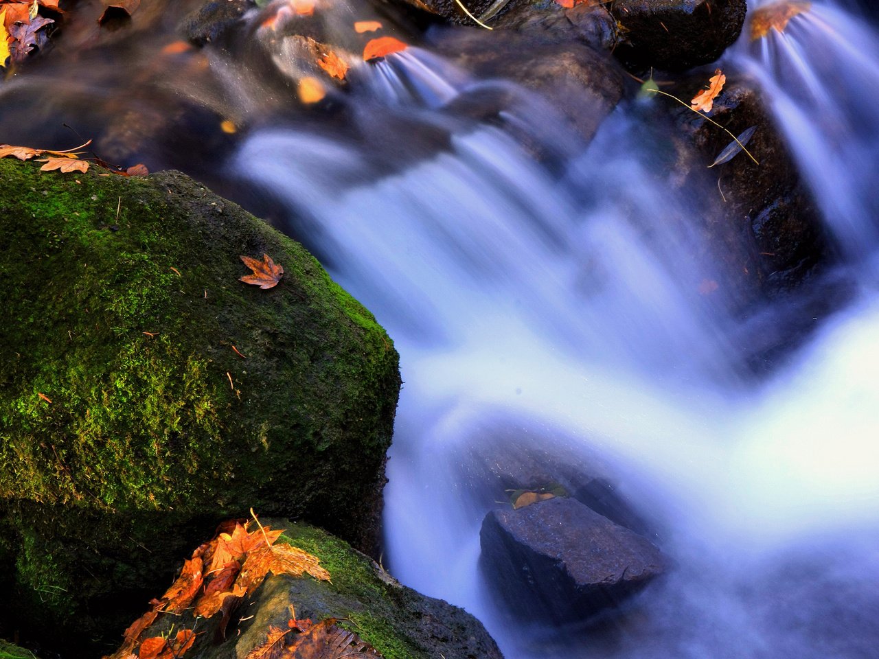 Обои вода, листья, мох, стихии, water, leaves, moss, elements разрешение 2300x1550 Загрузить