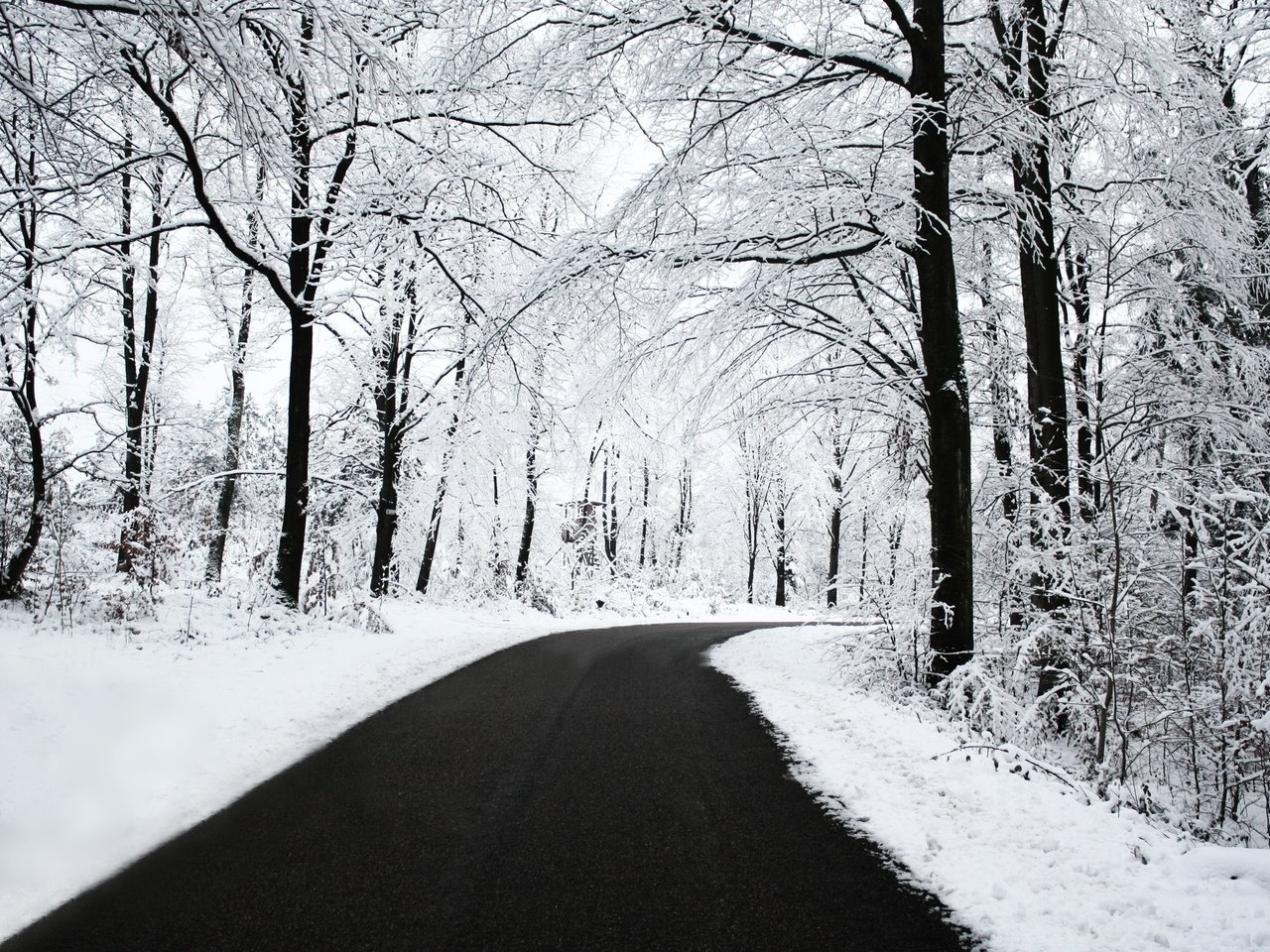 Обои дорога, снег, лес, зима, road, snow, forest, winter разрешение 2560x1600 Загрузить