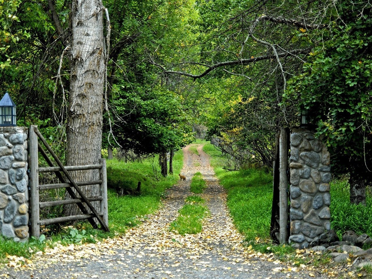 Обои дорога, лес, ворота, road, forest, gate разрешение 1920x1200 Загрузить