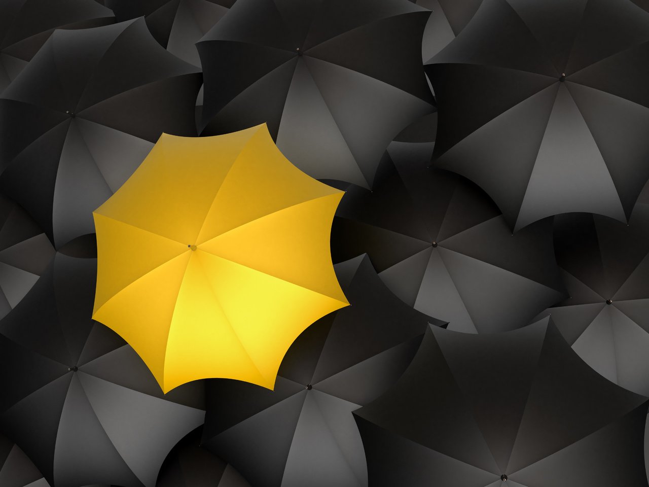 Обои желтый, черный цвет, зонты, yellow, black color, umbrellas разрешение 5200x3900 Загрузить