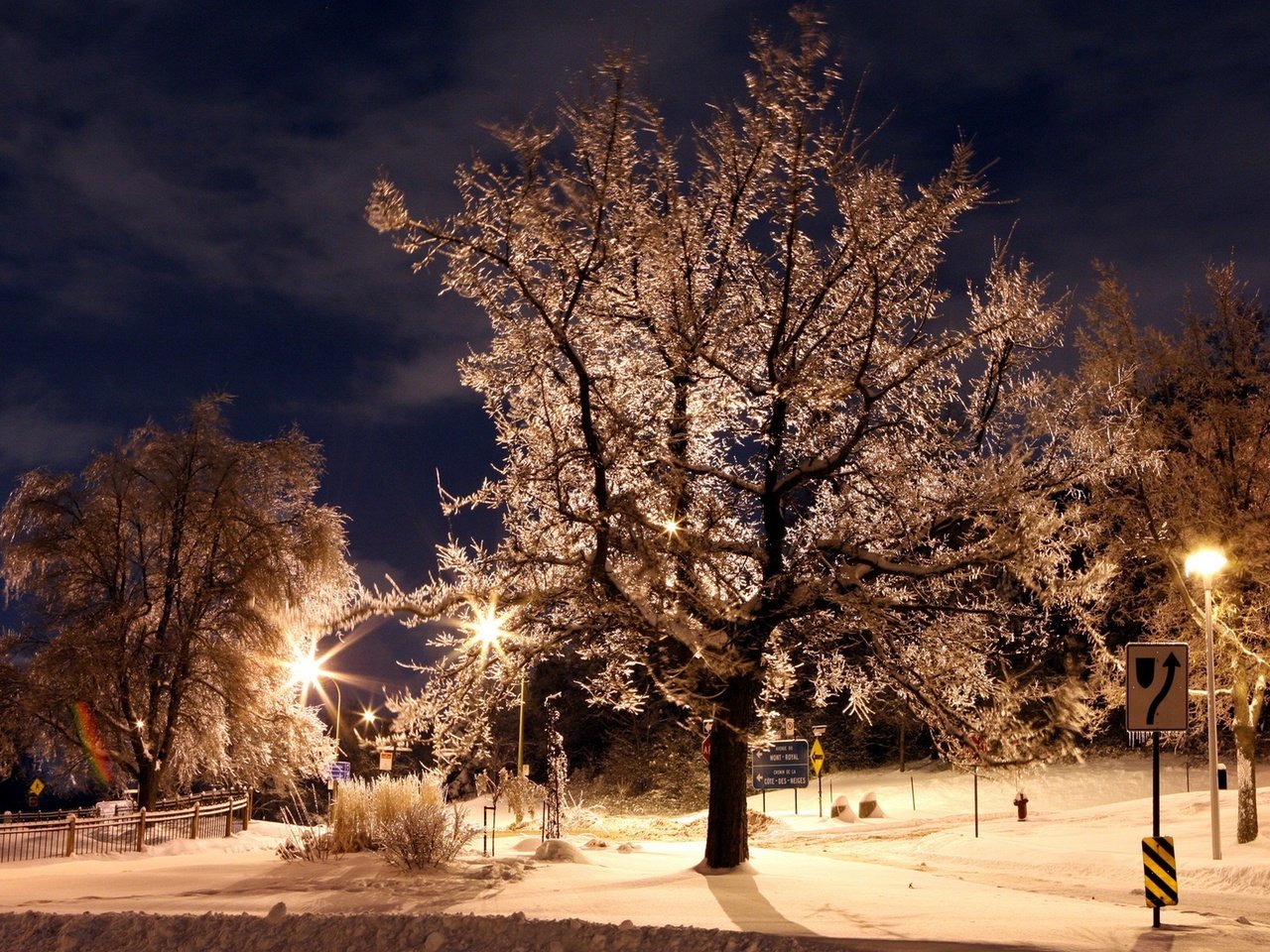 Обои ночь, деревья, фонари, зима, парк, иней, знаки, night, trees, lights, winter, park, frost, signs разрешение 2560x1600 Загрузить