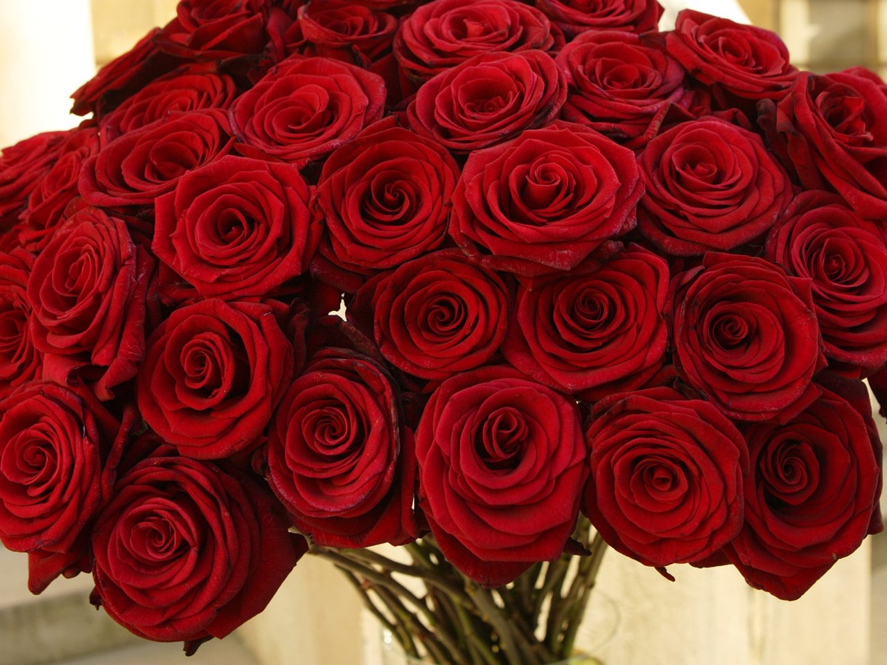 Обои цветы, розы, красные, букет, flowers, roses, red, bouquet разрешение 1920x1080 Загрузить