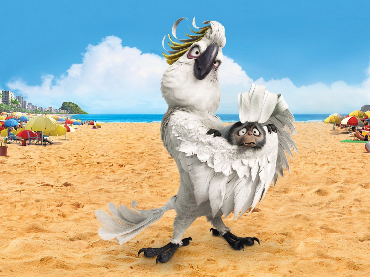 Обои пляж, мультфильм, попугай, рио, обезьянка, beach, cartoon, parrot, rio, monkey разрешение 1920x1200 Загрузить