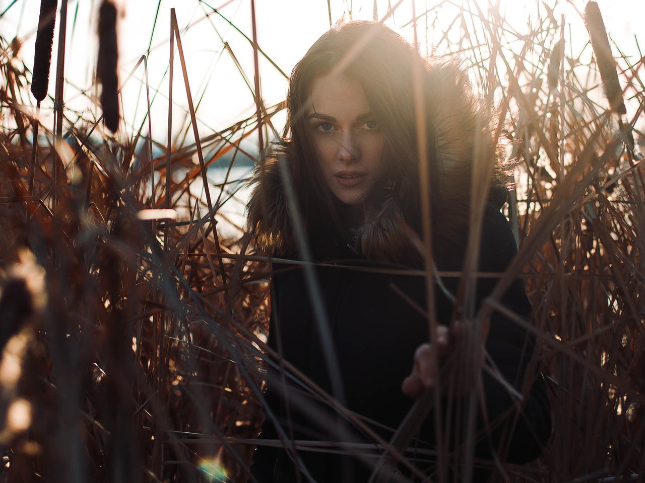 Обои глаза, река, берег, взгляд, осень, женщина, камыши, eyes, river, shore, look, autumn, woman, the reeds разрешение 1920x1200 Загрузить