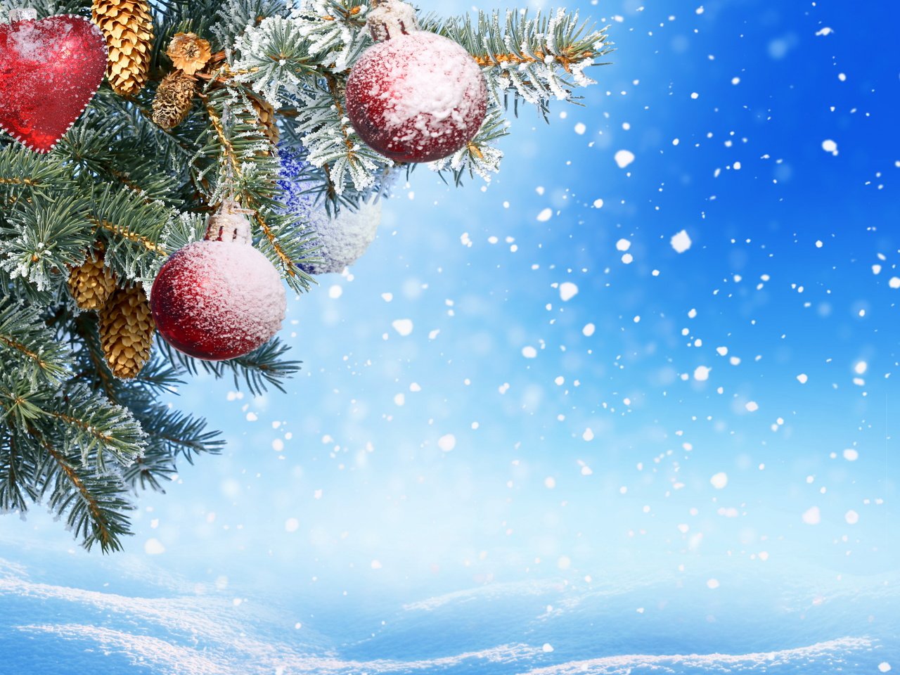 Обои снег, шишки, новый год, клубки, декорация, елка, елочная, merry, шары, украшения, зима, игрушки, рождество, snow, bumps, new year, tree, balls, decoration, winter, toys, christmas разрешение 6000x4000 Загрузить