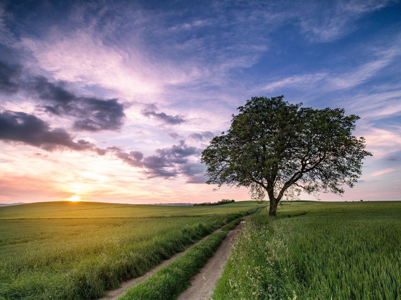 Обои небо, дорога, трава, поле, лето, the sky, road, grass, field, summer разрешение 2880x1920 Загрузить