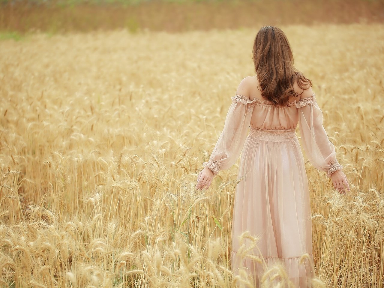 Обои девушка, платье, поле, колосья, пшеница, волосы, girl, dress, field, ears, wheat, hair разрешение 2048x1365 Загрузить