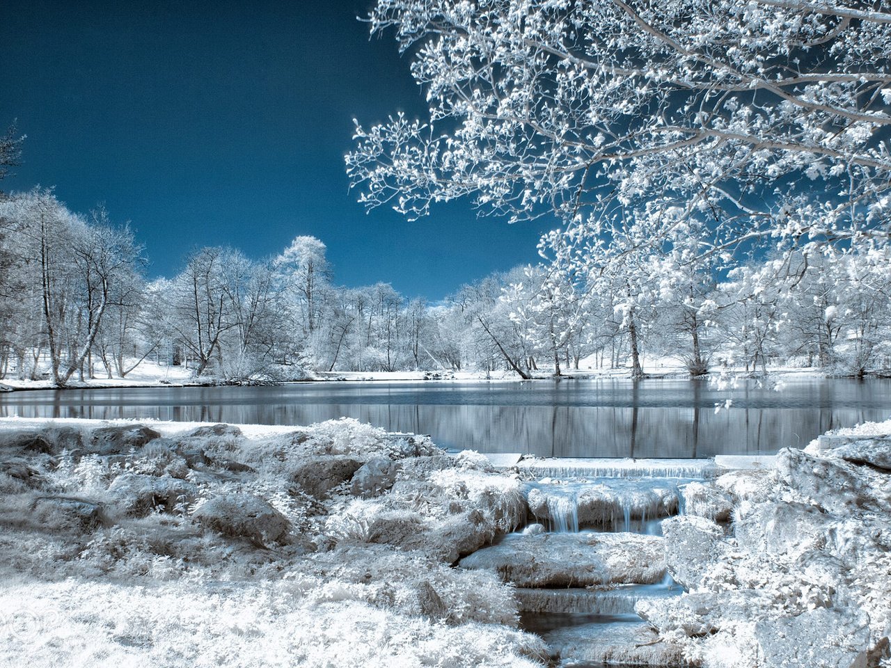 Обои небо, деревья, озеро, природа, зима, парк, иней, the sky, trees, lake, nature, winter, park, frost разрешение 1920x1200 Загрузить