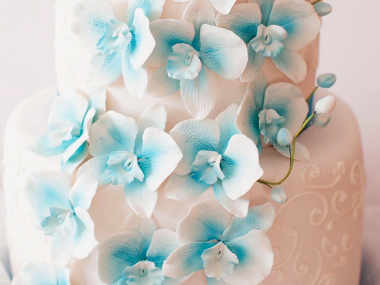 Обои цветы, дизайн, свадьба, сладкое, украшение, торт, орхидеи, flowers, design, wedding, sweet, decoration, cake, orchids разрешение 1920x1080 Загрузить